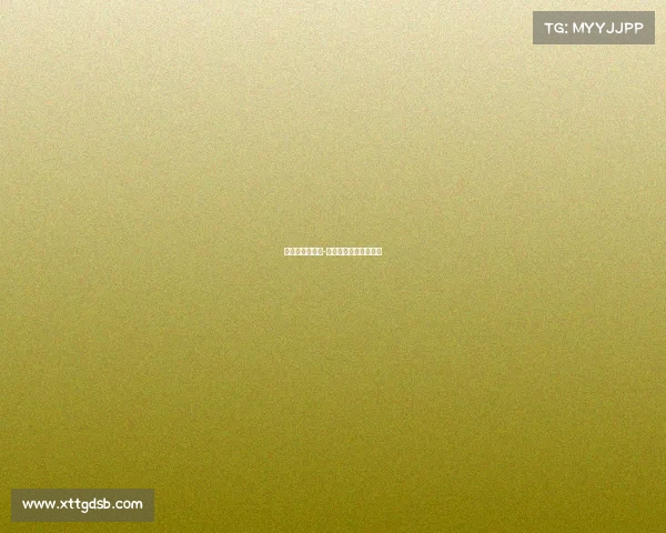 体育赛事的神经-体育赛事的功能和意义