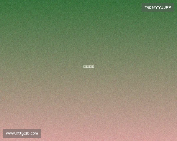 猛男杯赛制规则